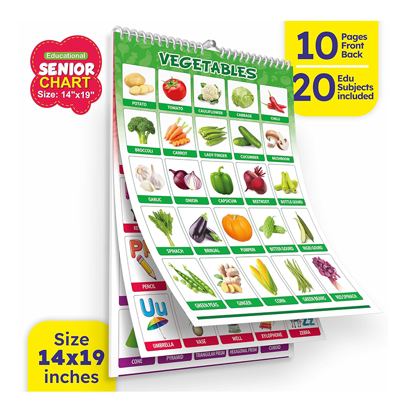 Look N Learn Senior Educational Chart | 20 Subjects |  Kids Age 2+